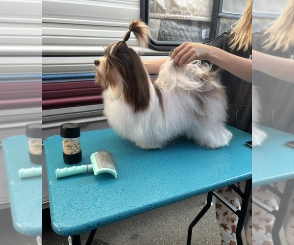 Medium Photo #8  Breeder Profile in POST FALLS, ID, USA
