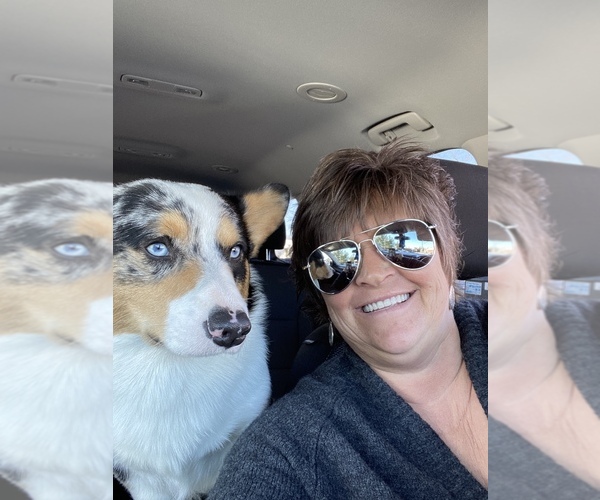 Medium Photo #1  Breeder Profile in MAYSLICK, KY, USA