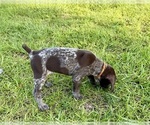 Small #22 Breeder Profile image