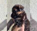 Small #201 Breeder Profile image