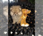Small #2 Breeder Profile image