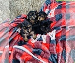 Small #2 Breeder Profile image