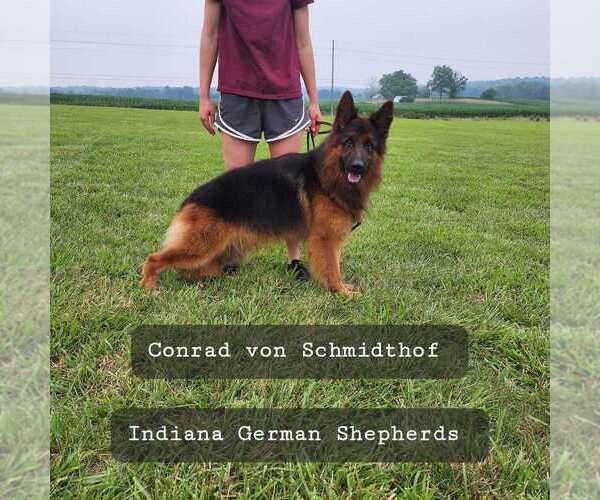Medium Photo #3  Breeder Profile in CHRISNEY, IN, USA