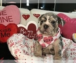 Small #2 Breeder Profile image