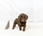 Small #27 Breeder Profile image