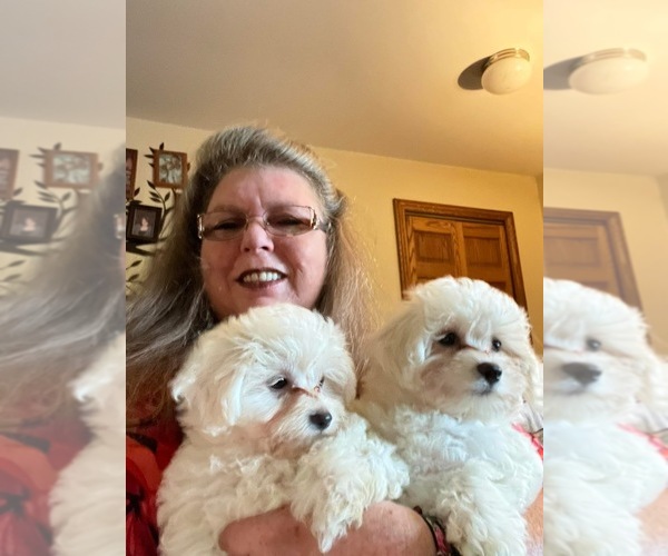 Medium Photo #6  Breeder Profile in PICKFORD, MI, USA