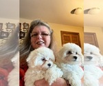Small #5 Breeder Profile image