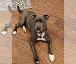 Small #4 Breeder Profile image