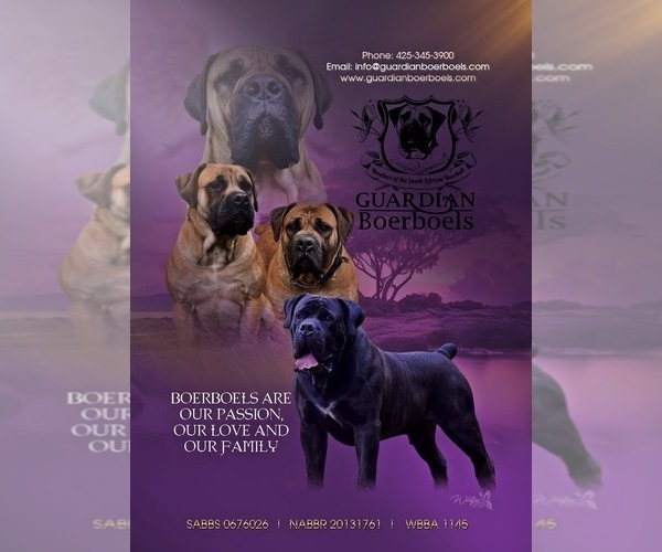 Medium Photo #1  Breeder Profile in LAKE STEVENS, WA, USA