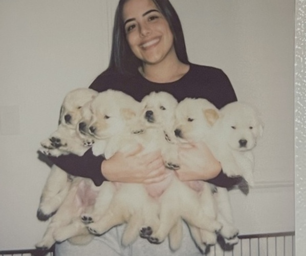 Medium Photo #1  Breeder Profile in WEST PALM BEACH, FL, USA