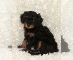 Small #12 Breeder Profile image