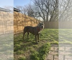 Small #21 Breeder Profile image