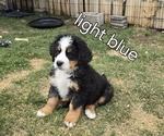 Small #13 Breeder Profile image