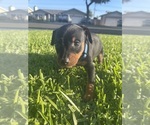 Small #2 Breeder Profile image