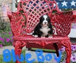 Small #7 Breeder Profile image