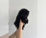 Small #5 Breeder Profile image