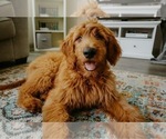 Small #21 Breeder Profile image