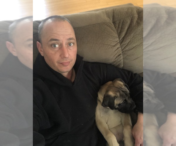 Medium Photo #1  Breeder Profile in PINEBLUFF, NC, USA