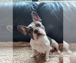 Small #4 Breeder Profile image