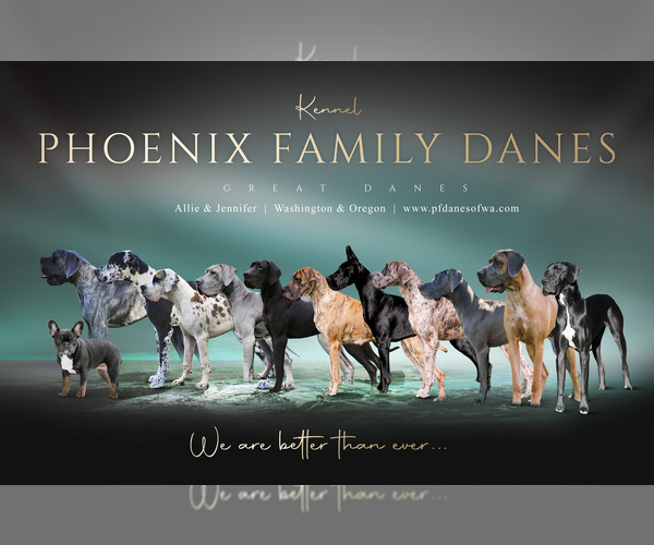 Medium Photo #1  Breeder Profile in SPOKANE, WA, USA