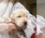Small #6 Breeder Profile image