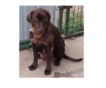 Small #1 Breeder Profile image