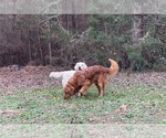 Small #12 Breeder Profile image