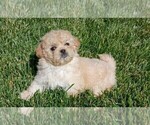 Small #1 Breeder Profile image