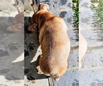Small #79 Breeder Profile image