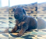 Small #25 Breeder Profile image