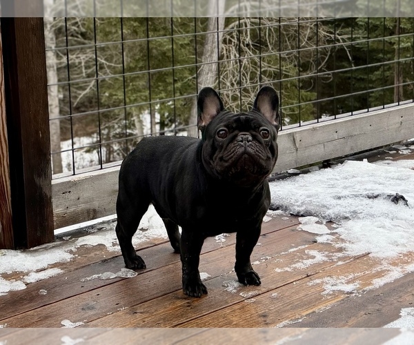 Medium Photo #16  Breeder Profile in KALISPELL, MT, USA