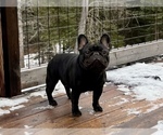Small #15 Breeder Profile image