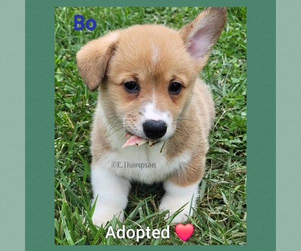 Medium Photo #1  Breeder Profile in BRODHEAD, KY, USA