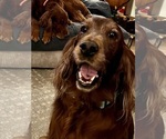 Small #2 Breeder Profile image