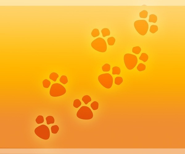 Medium Photo #1  Breeder Profile in TECUMSEH, MI, USA