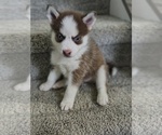Small #5 Breeder Profile image