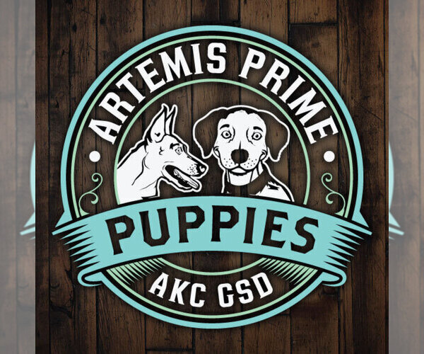 Medium Photo #1  Breeder Profile in STAFFORD, VA, USA