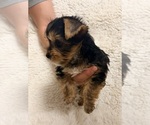 Small #4 Breeder Profile image