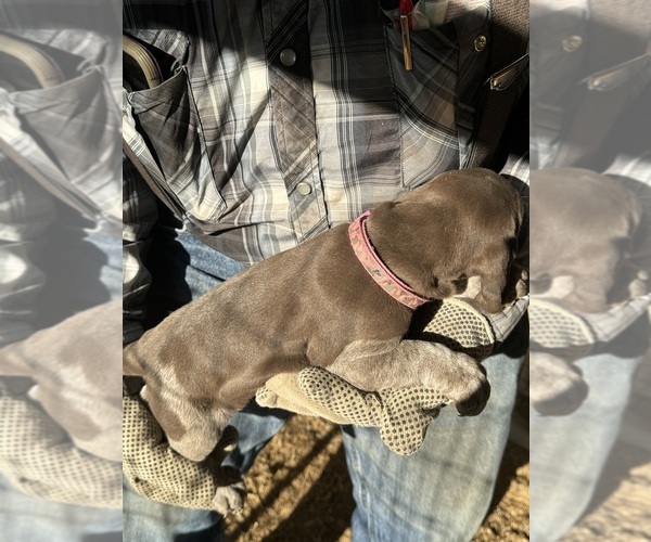 Medium Photo #4  Breeder Profile in MONTROSE, CO, USA