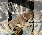 Small #3 Breeder Profile image