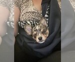 Small #28 Breeder Profile image