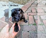 Small #6 Breeder Profile image