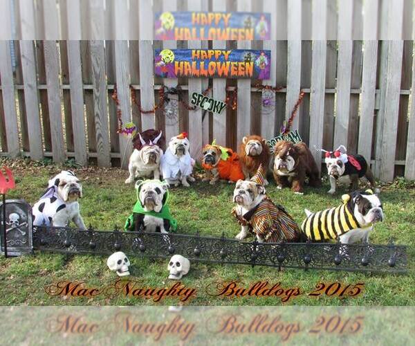 Medium Photo #1  Breeder Profile in WHITE, SD, USA