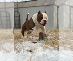 Small #3 Breeder Profile image