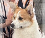 Small #5 Breeder Profile image