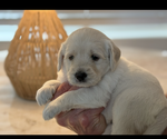 Small #2 Breeder Profile image
