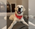 Small #24 Breeder Profile image