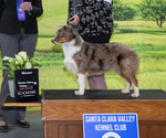 Small #1 Breeder Profile image