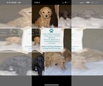 Small #10 Breeder Profile image
