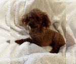 Small #7 Breeder Profile image
